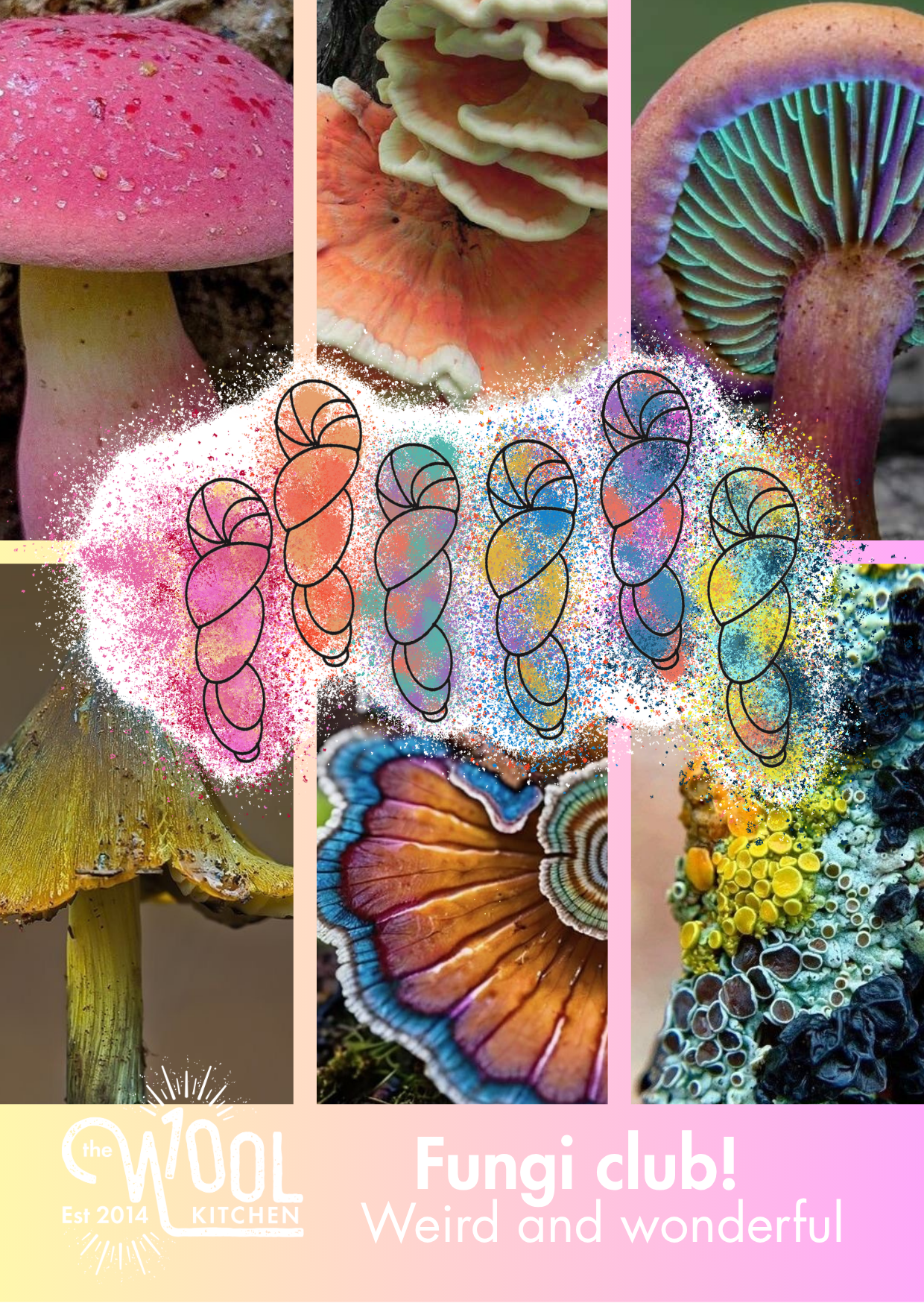 Floral Fade 3 Fungi Monthly Yarn Club | The Wool Kitchen