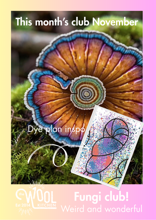 Floral Fade 3 Fungi Monthly Yarn Club | The Wool Kitchen