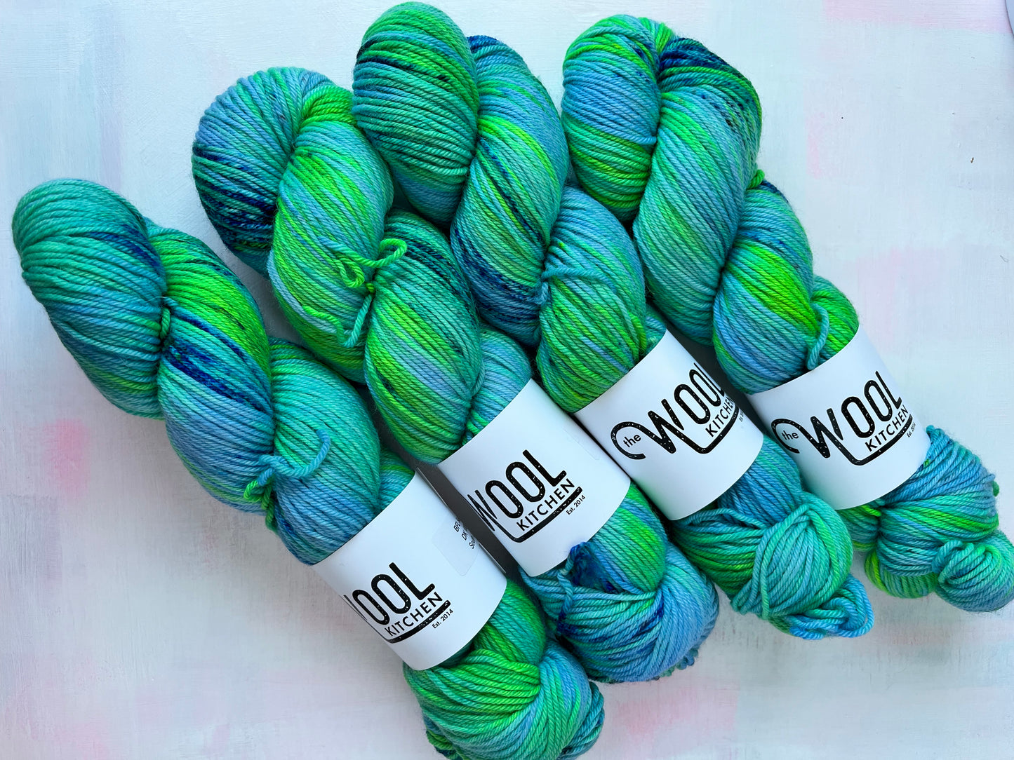 SALE South Landing Bright 4 skein Bundle | BFL DK Wool