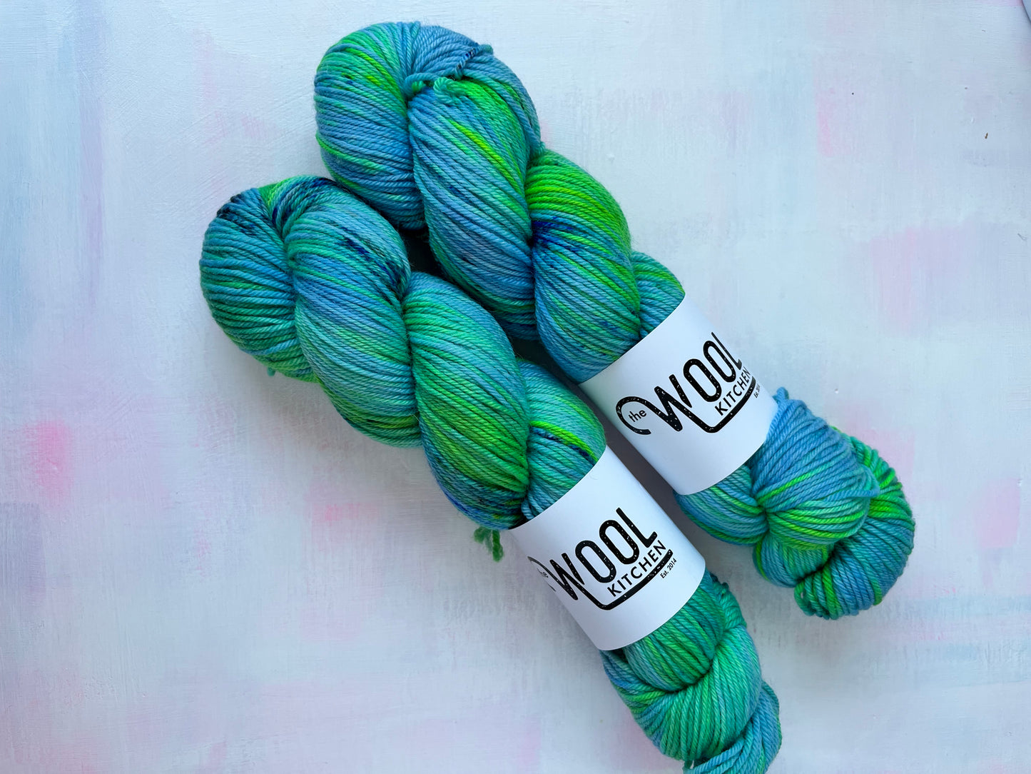 SALE South Landing Bright 2 skein Bundle | BFL DK Wool