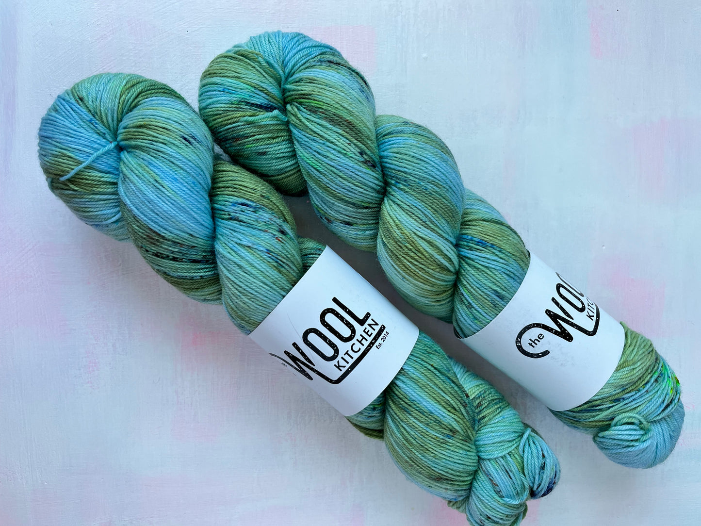 SALE 2 skeins South Landing | 4ply sock