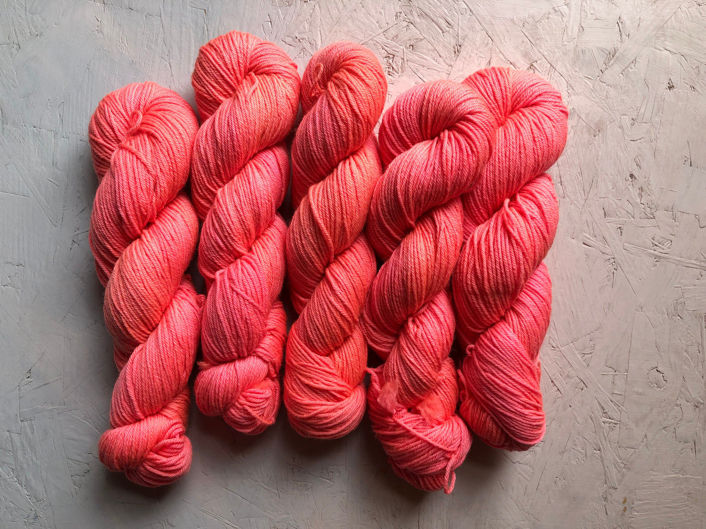 Frenchie - BFL - DK