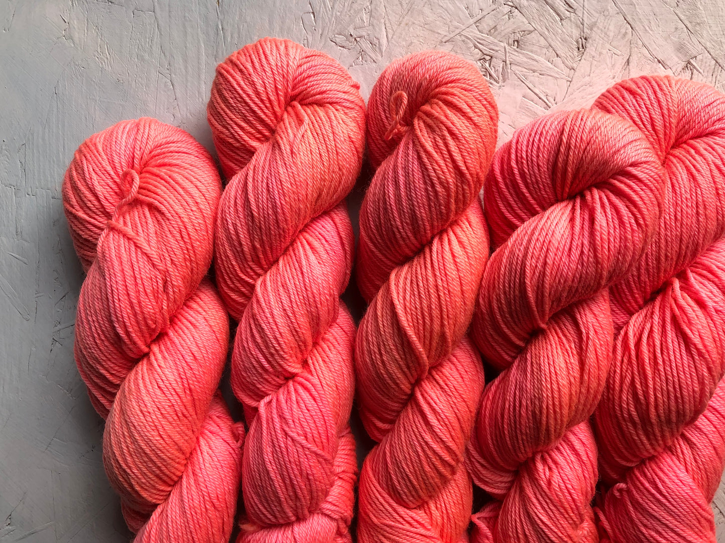 Frenchie - BFL - DK