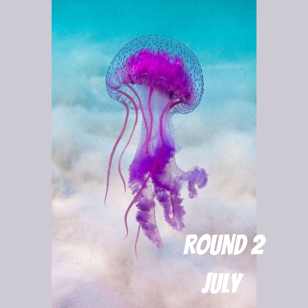 Round 2 Jellyfish monthly sock yarn club - Merino nylon - 4ply