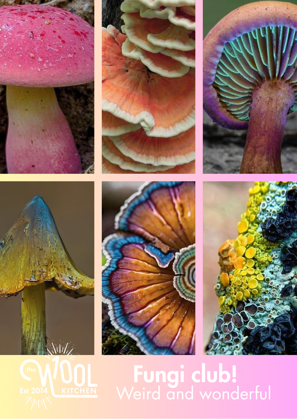Inspiration images for Floral Fade 3 Fungi Monthly yarn club by the hand dyed yarn expert, The Wool Kitchen.