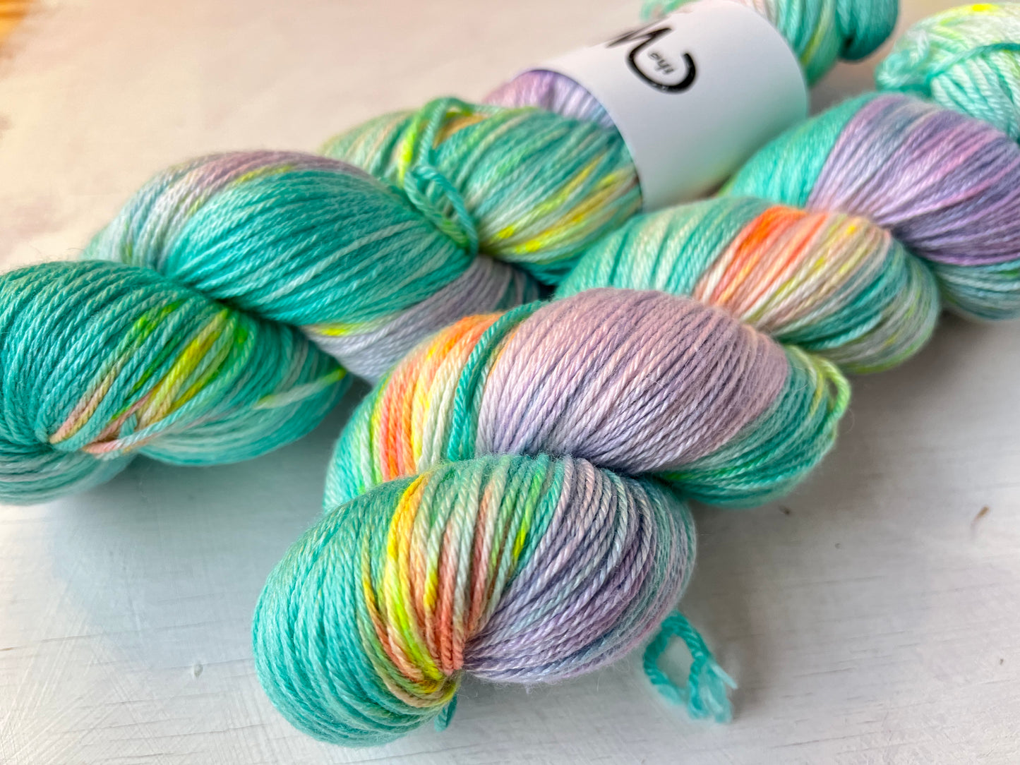Image 5 Rainbow Succulent | Floral Fade 2 Botanical Monthly Yarn Club | Luxury 4ply Merino Silk