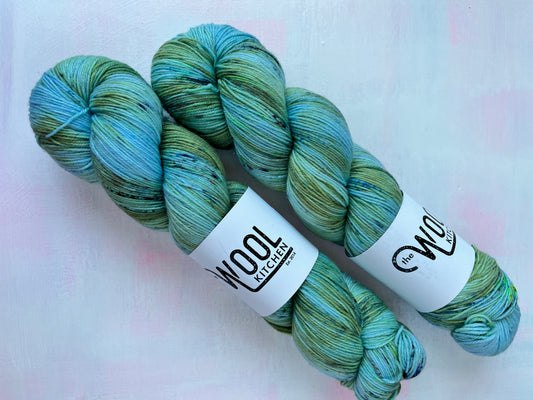 SALE 2 skeins South Landing | 4ply sock