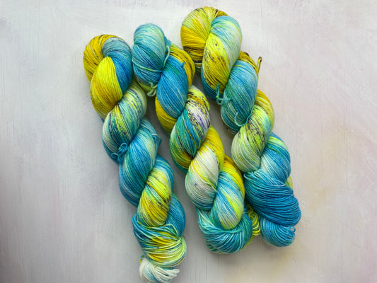 Round 1 Jellyfish monthly sock yarn club - Merino nylon - 4ply